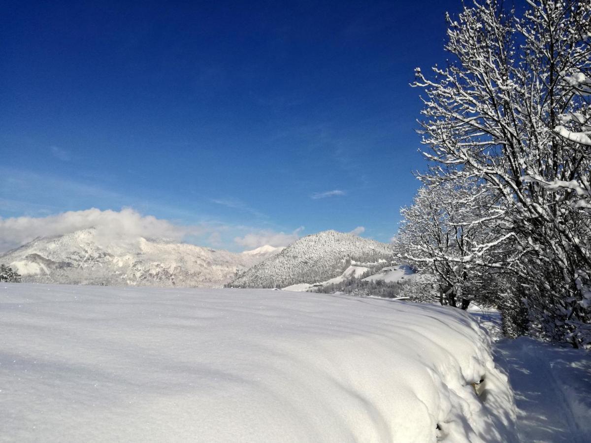 Tramberger Apartments Reith im Alpbachtal Bagian luar foto